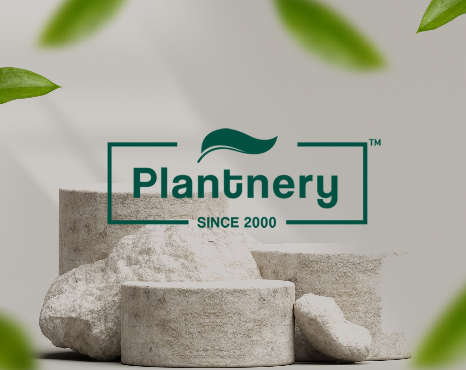 PLANTNERY-แพลนท์เนอรี่ รวมสกินแคร์แก้ปัญหาสิว